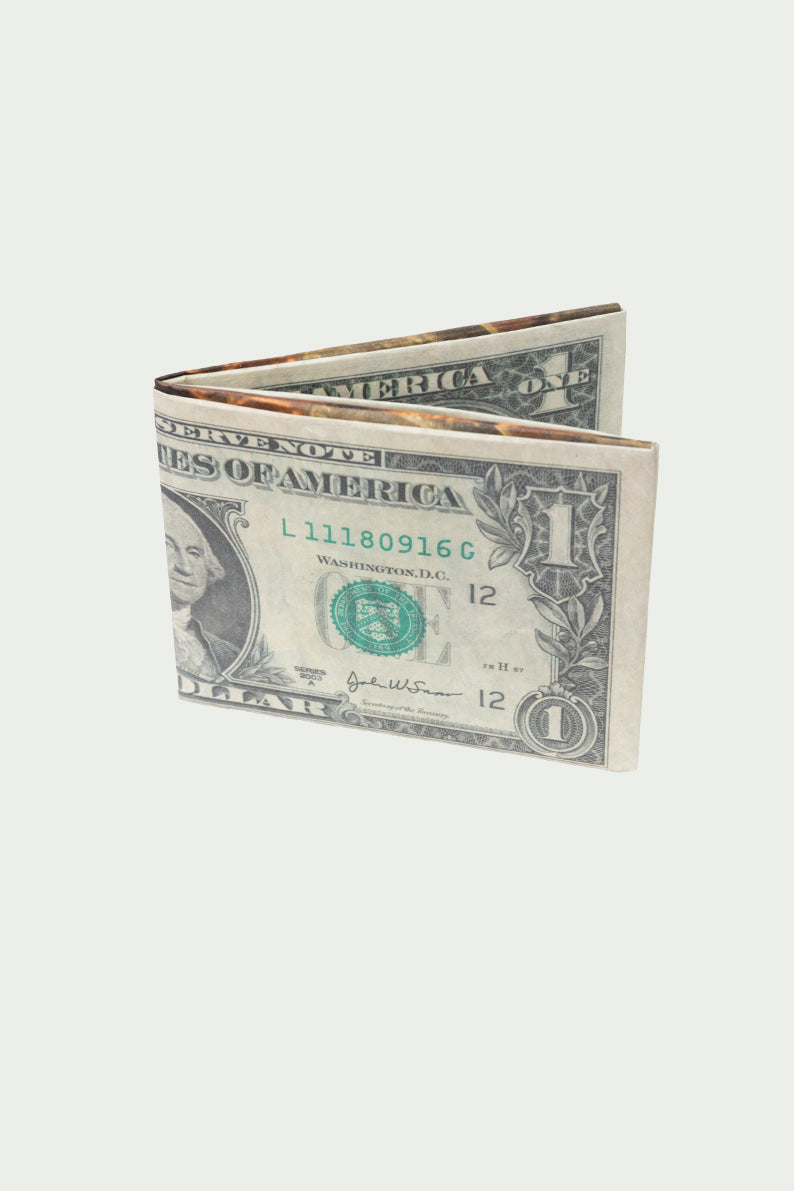 Cartera / DOLARES (6117857001654)