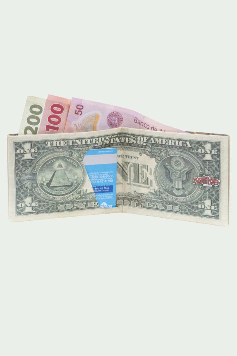 Cartera / DOLARES (6117857001654)