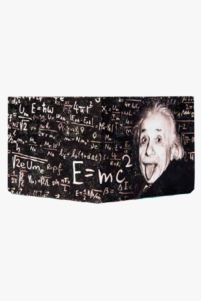 Cartera Einstein (386605613089)