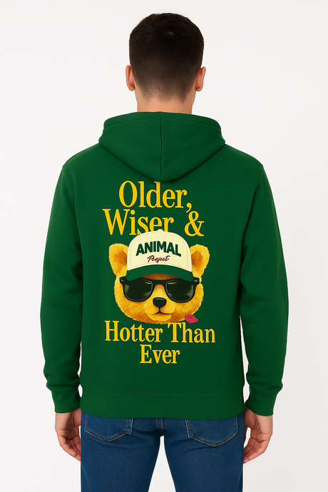 Sudadera Caballero ML / OSITO COCHE VERDE (9125664260319)