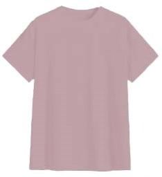 Playera Caballero MC / BASICA CUELLO REDONDO  ZARA/ROSA (9001753477343)